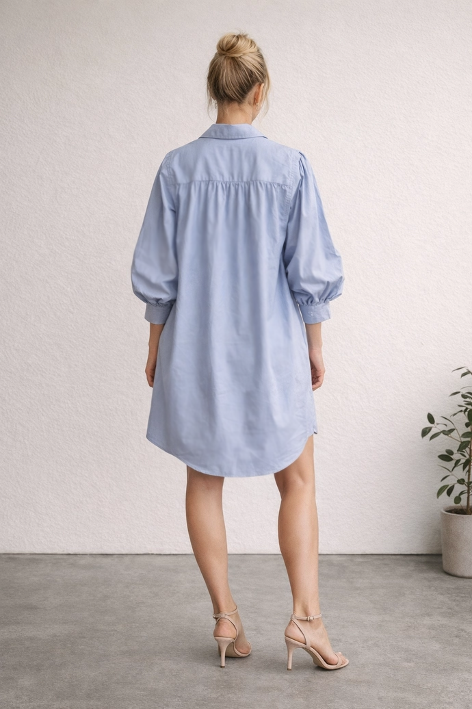 Elena Structured Cotton Dress