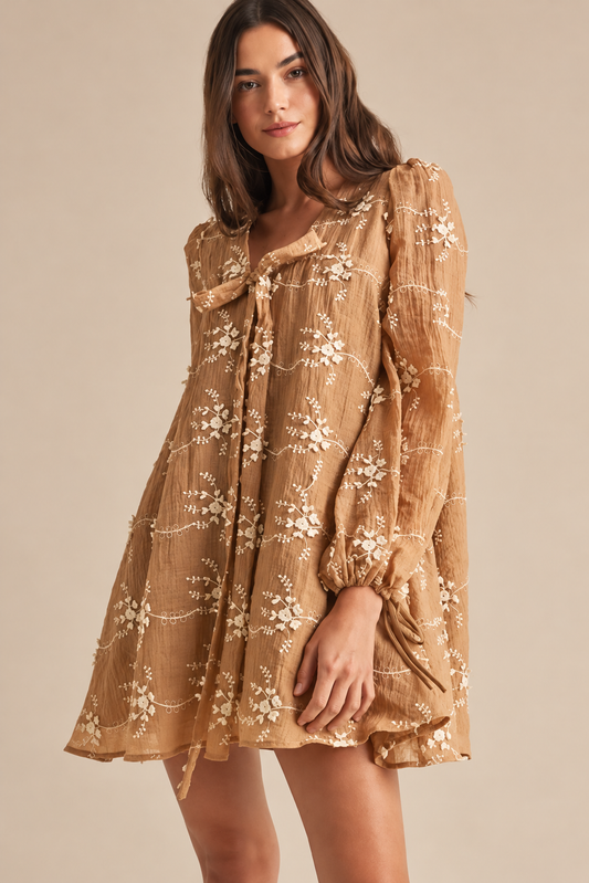 Embroidered Mini Dress