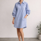 Elena Structured Cotton Dress