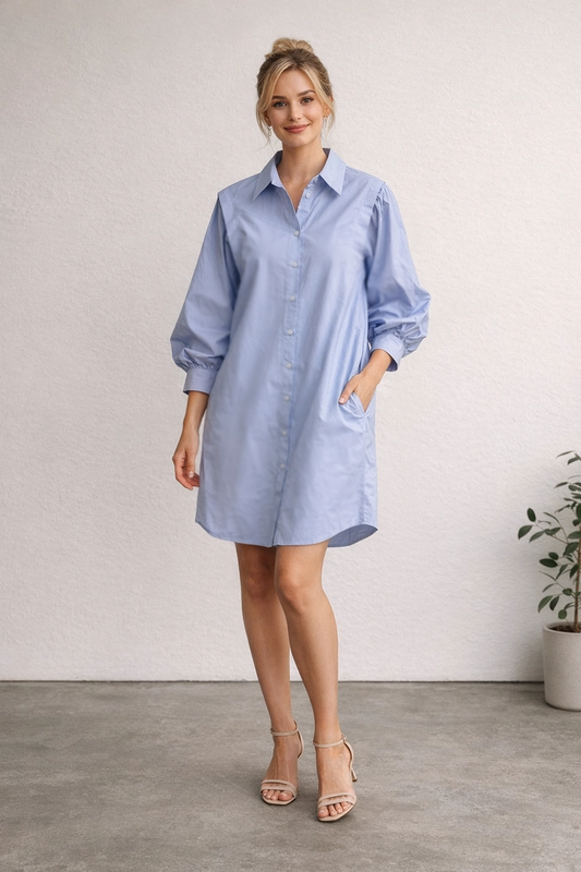 Elena Structured Cotton Dress