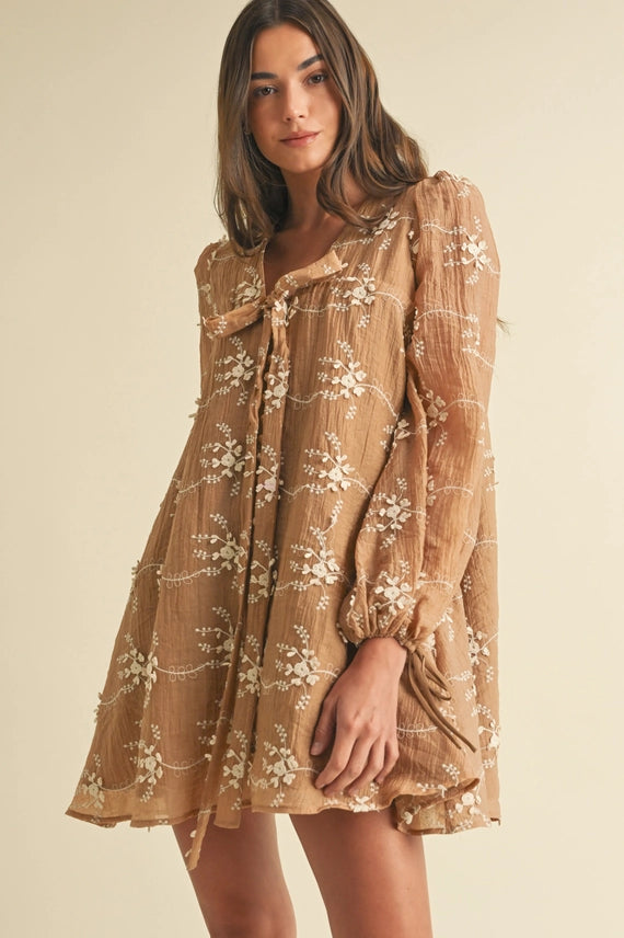 Embroidered Mini Dress