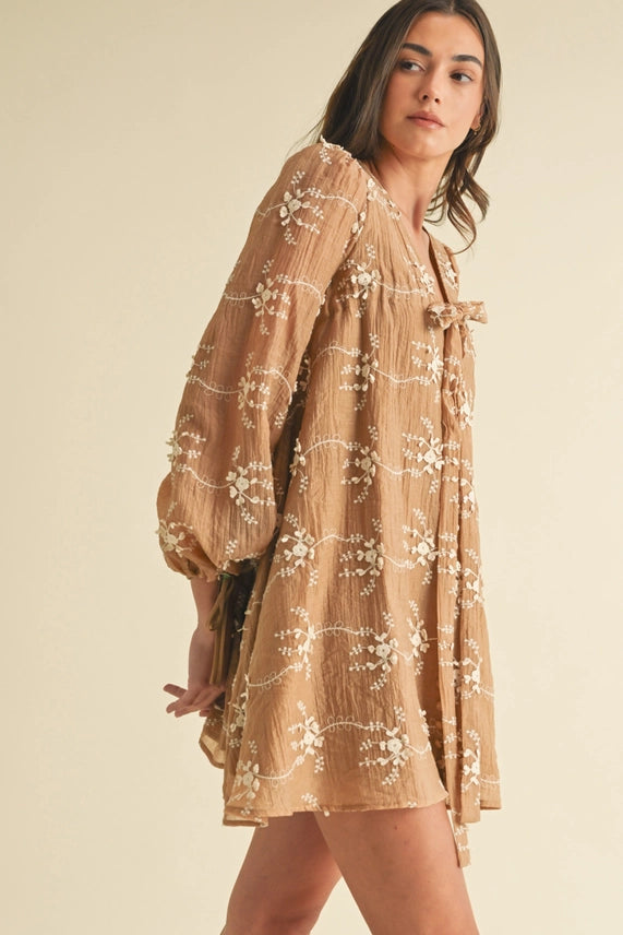 Embroidered Mini Dress