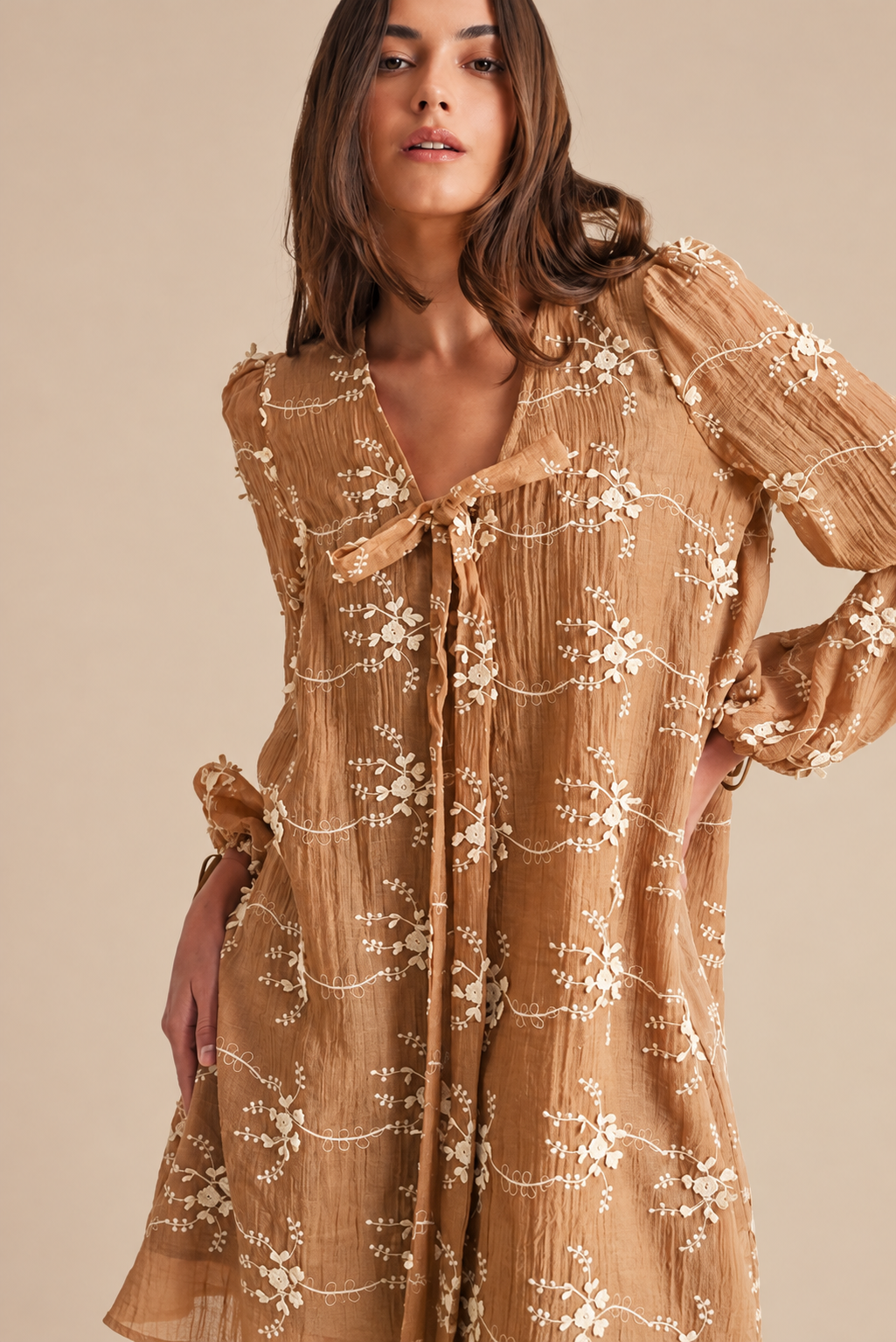Embroidered Mini Dress