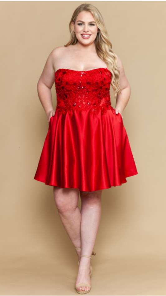 Silo Homecoming Dress Plus