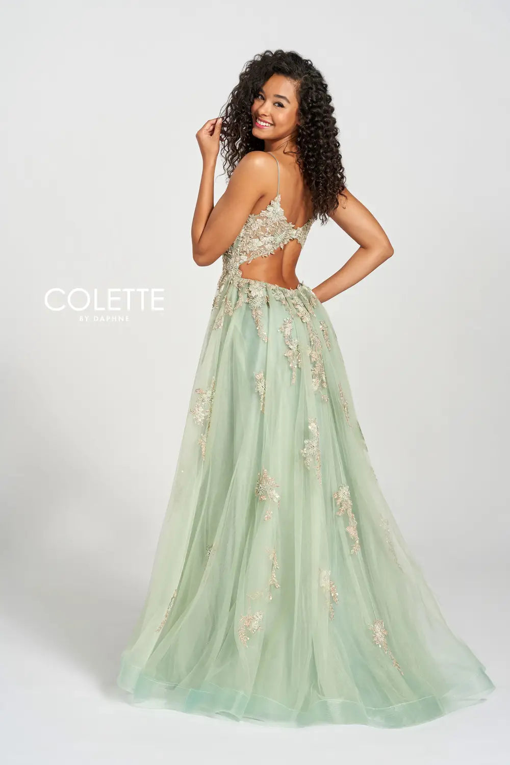 CL12207  Colette Prom Dress