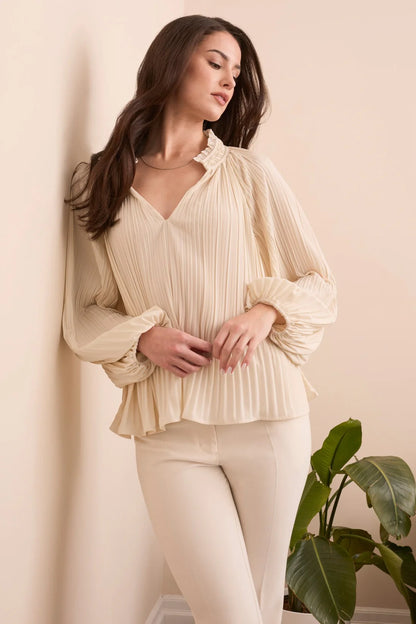 Pleated Ruffle Notch Collar Novelty Blouse