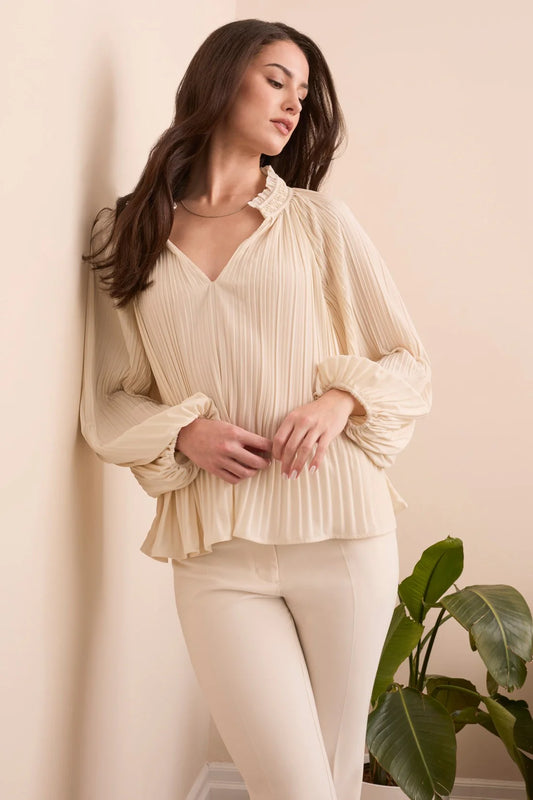 Pleated Ruffle Notch Collar Novelty Blouse